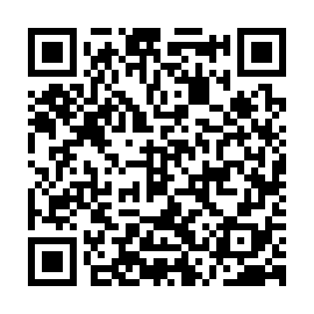 QR code for ASV378