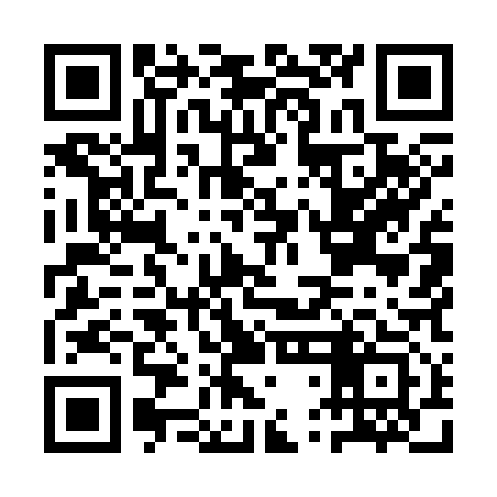QR code for ATM313