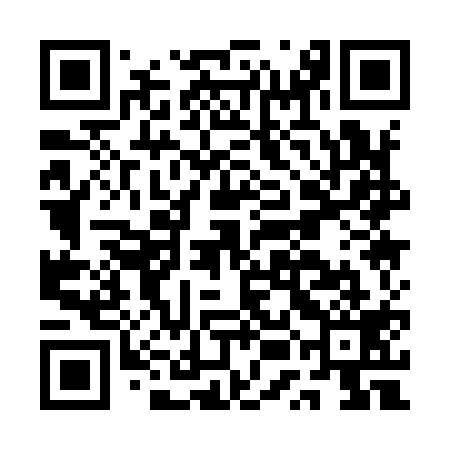QR code for AUA919