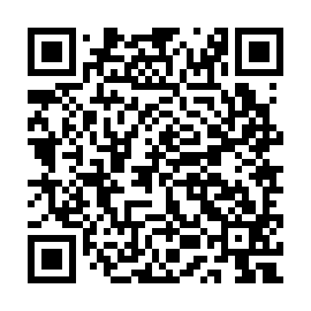 QR code for AUJ393