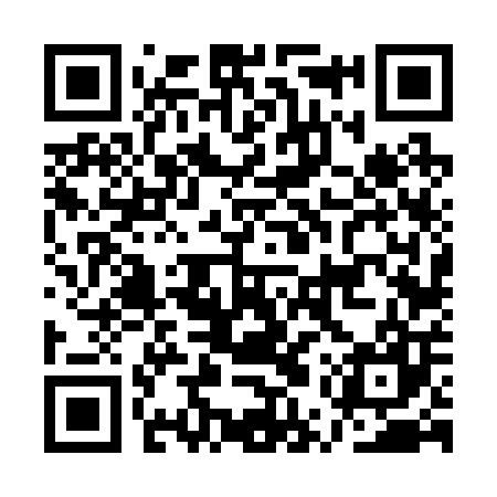 QR code for AUV207