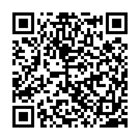 QR code for AVA533