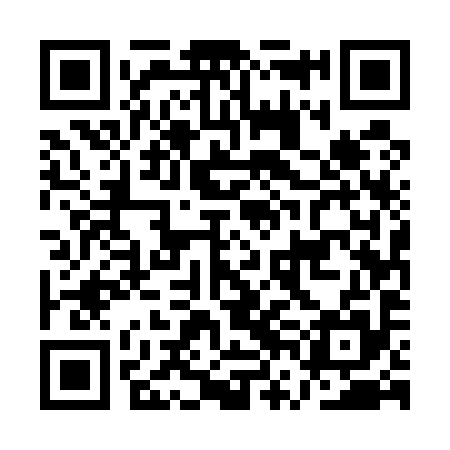QR code for AVE595