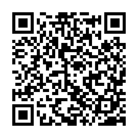 QR code for AVN241