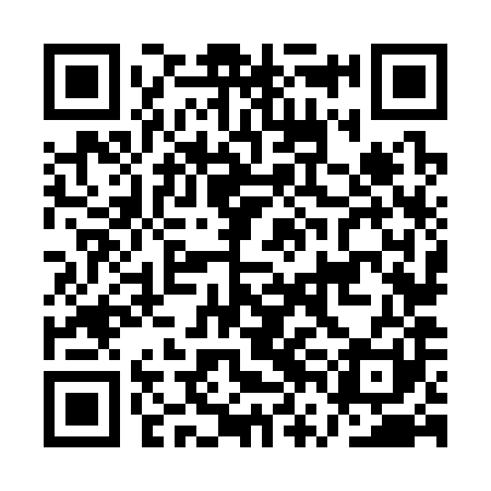 QR code for AVN381