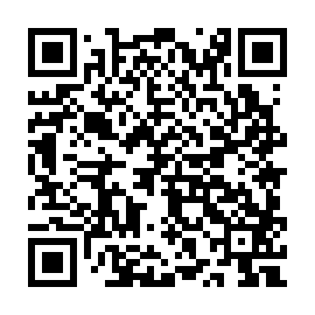 QR code for AXM383