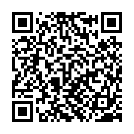 QR code for AYI233