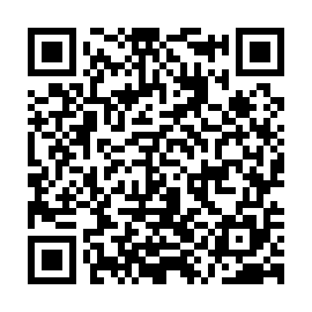 QR code for AYO155