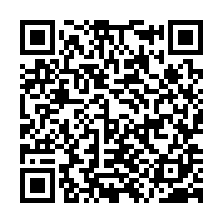 QR code for AYO381