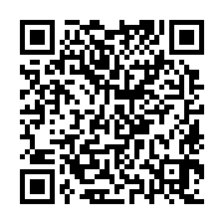 QR code for AYO383