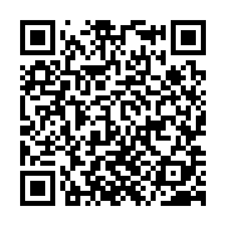 QR code for AYO389