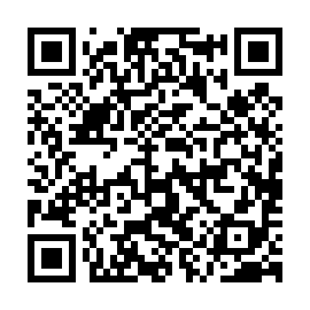 QR code for AYP498
