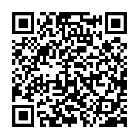 QR code for AYP519