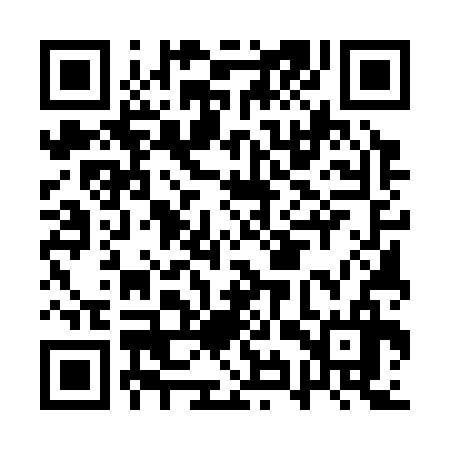 QR code for AYU336