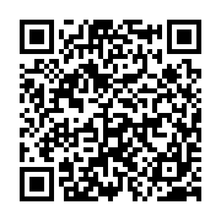 QR code for AYU397