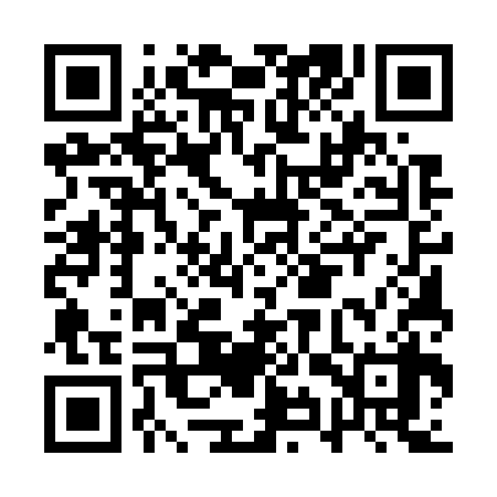 QR code for AYU738