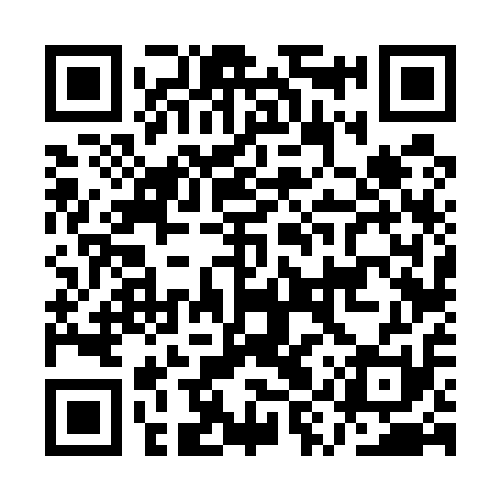 QR code for AYV511