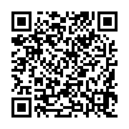 QR code for AYY095