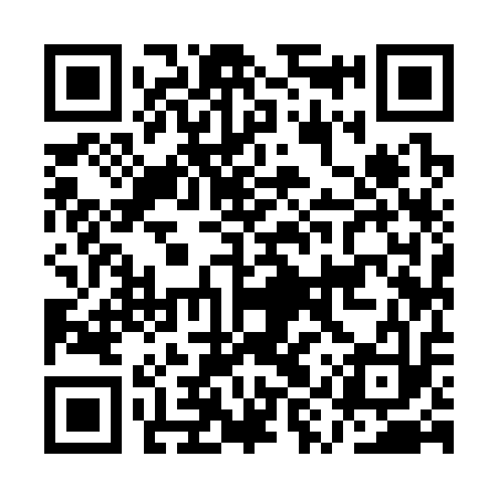 QR code for AYY313