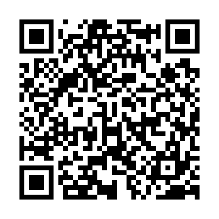 QR code for AYY737