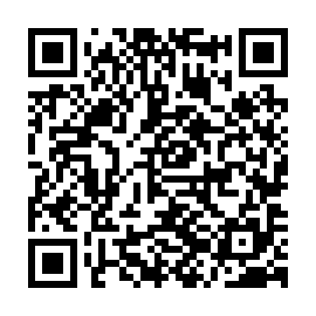 QR code for AZN295