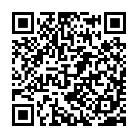 QR code for BAB295