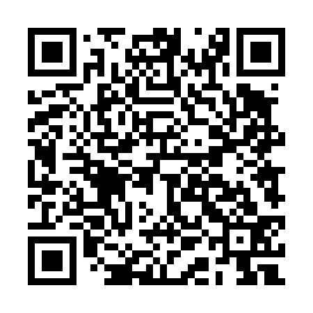 QR code for BAD433