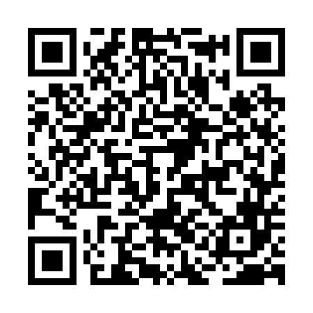 QR code for BAG246