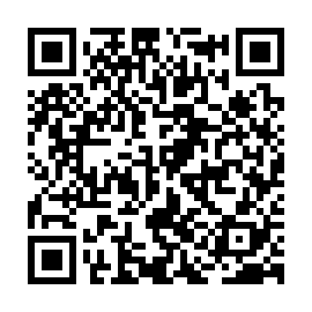 QR code for BAG328