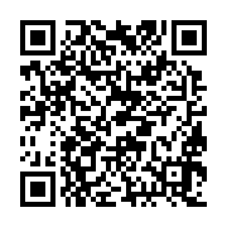QR code for BAG397