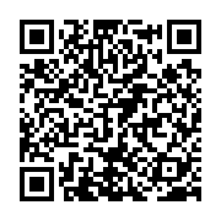 QR code for BAG729
