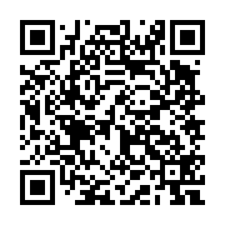 QR code for BAJ419