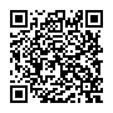 QR code for BAL917