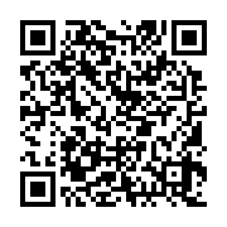 QR code for BAM338