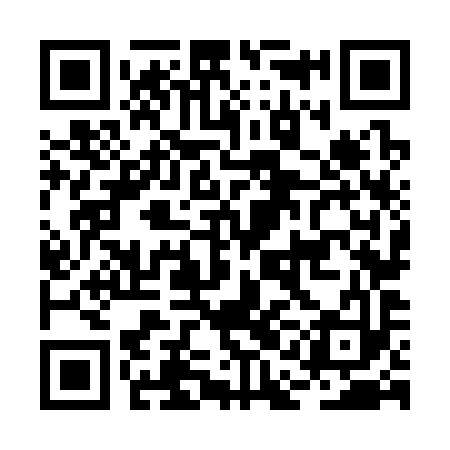 QR code for BAN393