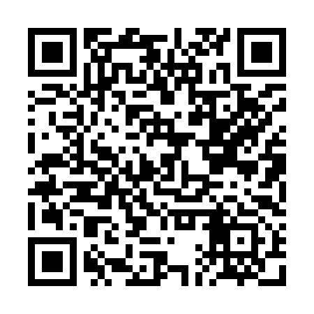 QR code for BAP993