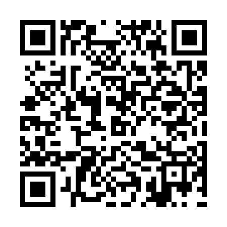 QR code for BAT307