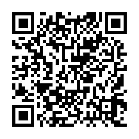 QR code for BBI919