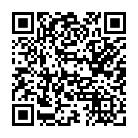QR code for BBM919