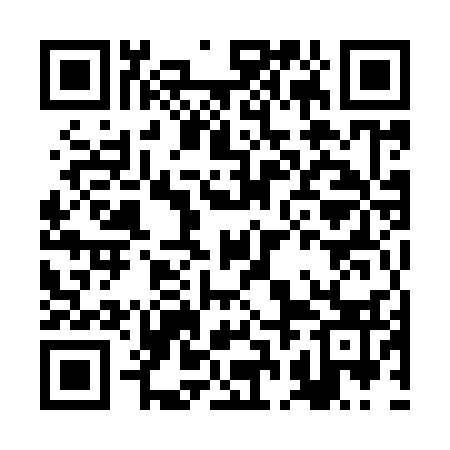 QR code for BBM933