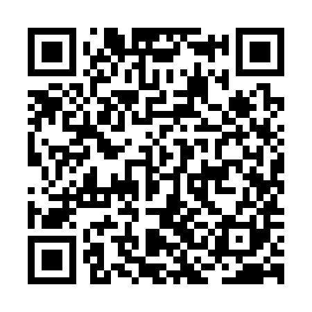 QR code for BCI381