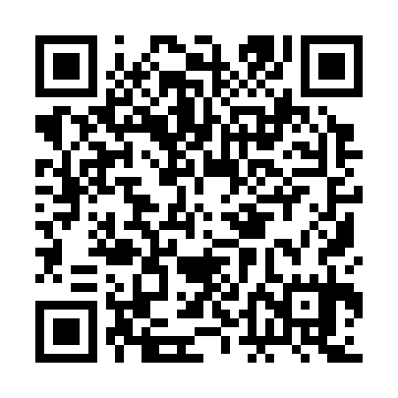 QR code for BDI335