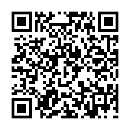 QR code for BDI911
