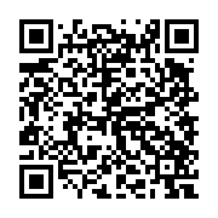 QR code for BDN447
