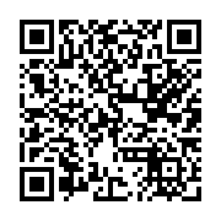 QR code for BFF381