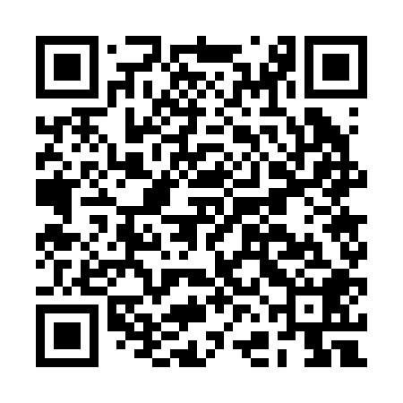QR code for BFG208
