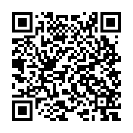 QR code for BFG306