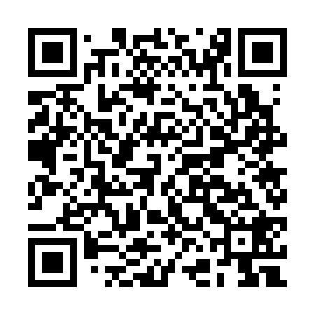 QR code for BFG328