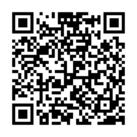 QR code for BFI333