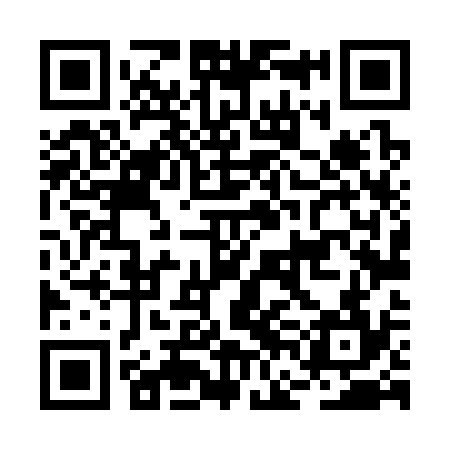 QR code for BFL334